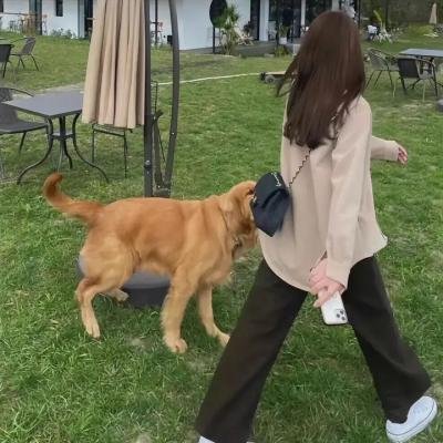 我是卡拉姆