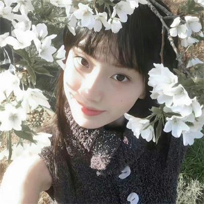 花儿与少年·好友记